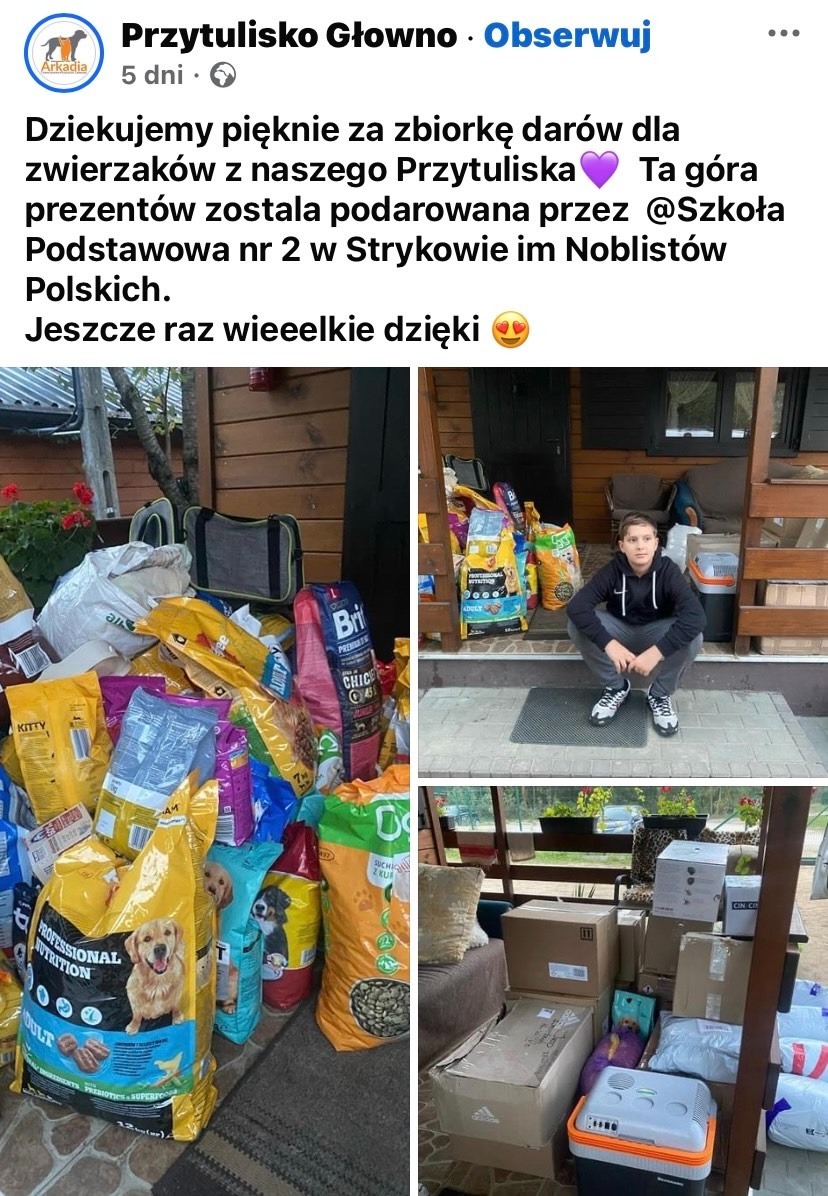 Wsparcie zwierząt z Przytuliska w Głownie