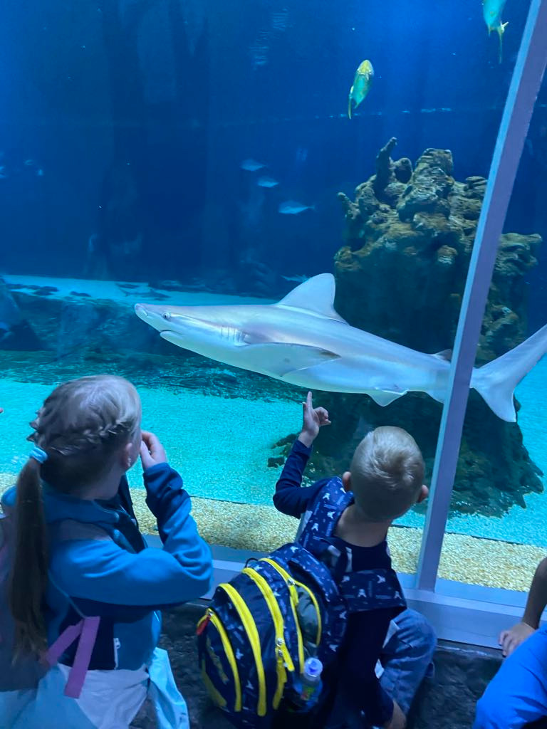 Wycieczka klas pierwszych do Orientarium ZOO w Łodzi