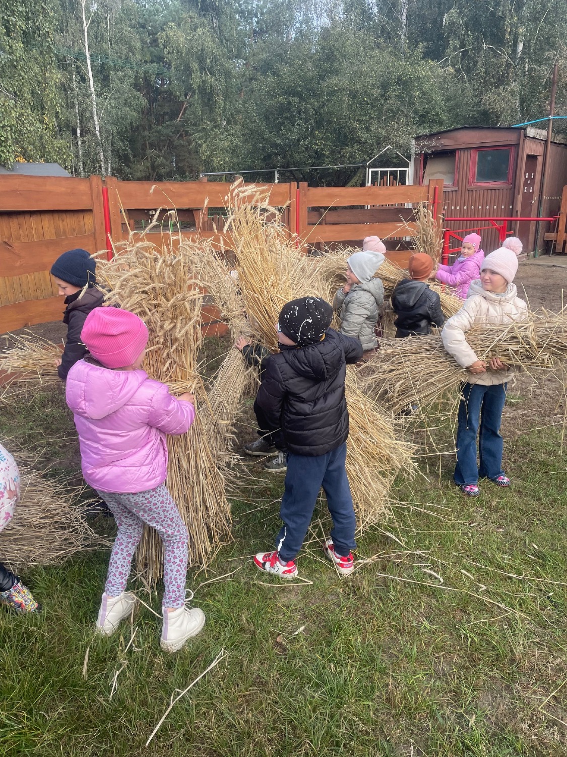 Wycieczka klas I do Zagrody Edukacyjnej „Lusia” w Konarzewie – „Od ziarenka do bochenka”