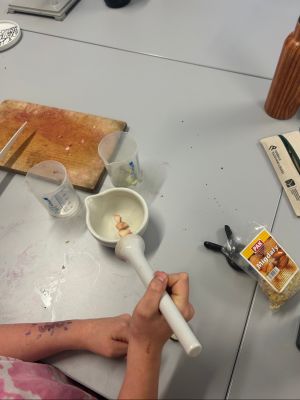 Uczniowie wykonują doświadczenia.