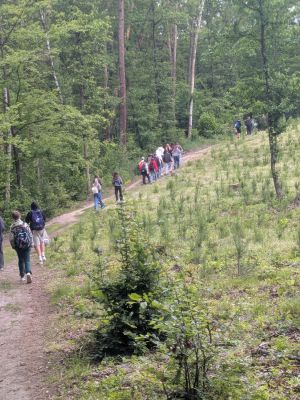 Wędrówka po wzniesieniach. Wędrówka po wzniesieniach.