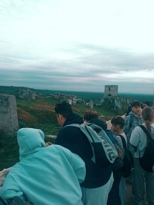 Ruiny zamku w Olsztynie