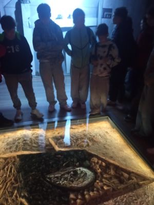 Muzeum  w kopalni srebra w Tarnowskich g&oacute;rach