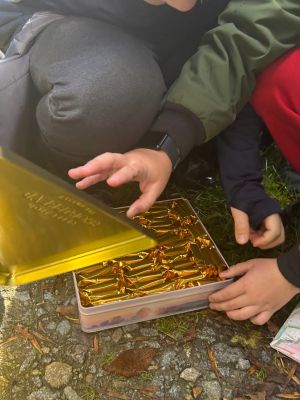 Moment odnalezienia skarbu &ndash; słodkich przekąsek dla uczestnik&oacute;w rajdu.