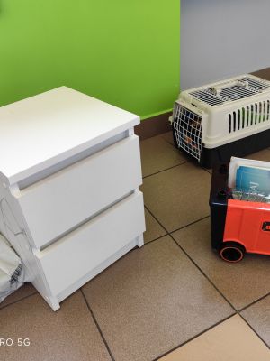 Kreatywność naszych uczni&oacute;w nie zna granic. Nietypowe alternatywa dla codziennych plecak&oacute;w.