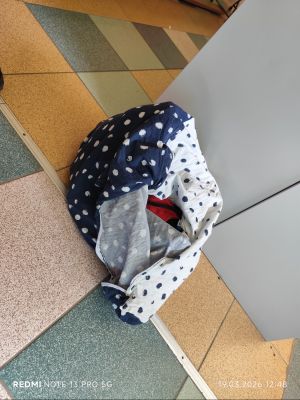 Kreatywność naszych uczni&oacute;w nie zna granic. Nietypowe alternatywa dla codziennych plecak&oacute;w.