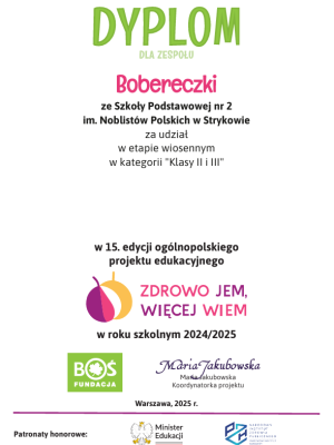 dyplombobereczki dyplombobereczki