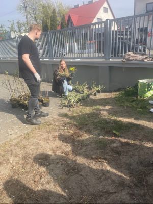 Uczniowie uczeni są w jaki spos&oacute;b sadzić krzewy.