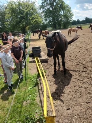 Uczniowie klas drugich w gospodarstwie agroturystycznym Stajnia Rudej Wiedźmy Uczniowie klas drugich w gospodarstwie agroturystycznym Stajnia Rudej Wiedźmy