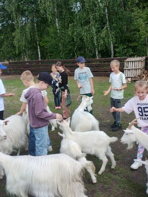 Uczniowie klas drugich w gospodarstwie agroturystycznym Stajnia Rudej Wiedźmy Uczniowie klas drugich w gospodarstwie agroturystycznym Stajnia Rudej Wiedźmy