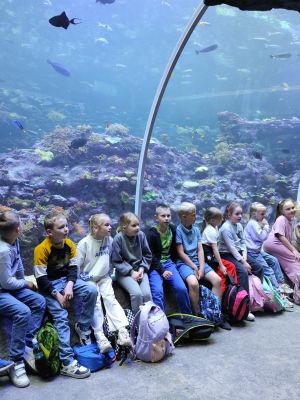 Uczniowie spacerujący alejkami zoo. Uczniowie spacerujący alejkami zoo.