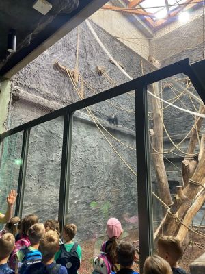 Uczniowie spacerujący alejkami zoo. Uczniowie spacerujący alejkami zoo.