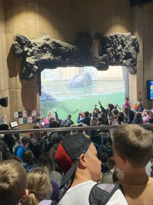 Uczniowie spacerujący alejkami zoo. Uczniowie spacerujący alejkami zoo.