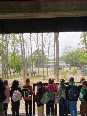 Uczniowie spacerujący alejkami zoo. Uczniowie spacerujący alejkami zoo.