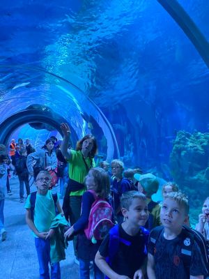 Uczniowie spacerujący alejkami zoo. Uczniowie spacerujący alejkami zoo.