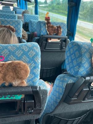 Kolorowe alpaki ozdobione przez uczniów podczas warsztatów plastycznych. Kolorowe alpaki ozdobione przez uczniów podczas warsztatów plastycznych.