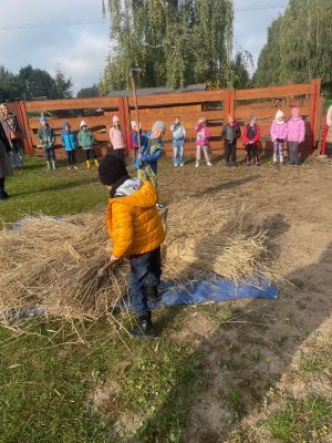 Tradycyjne mł&oacute;cenie cepem przez uczni&oacute;w.