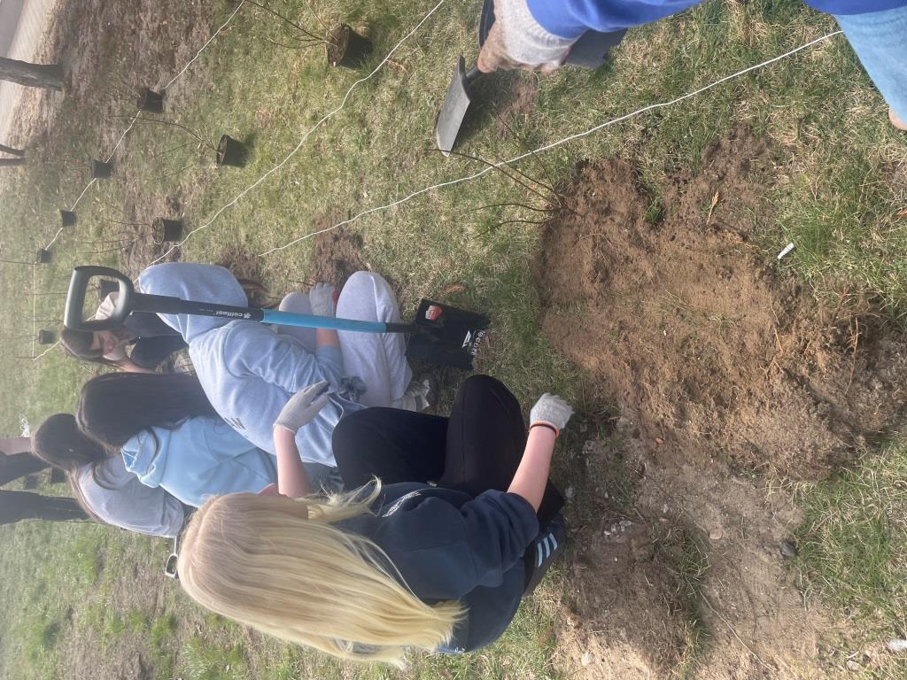 Sadzenie krzewów przy budynku szkoły.